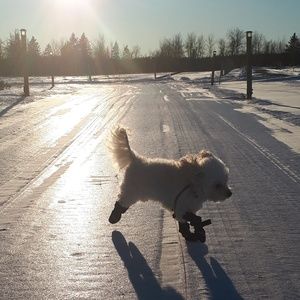 Meet your Posher, Emily